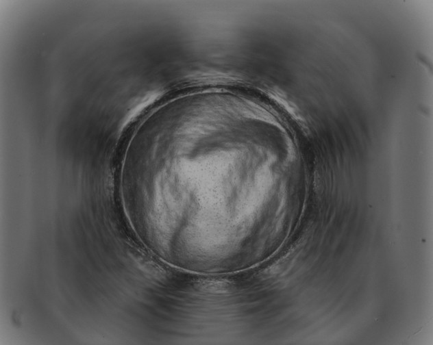 X0000091331309200708241151