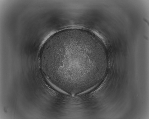 X0000091331310200708241151