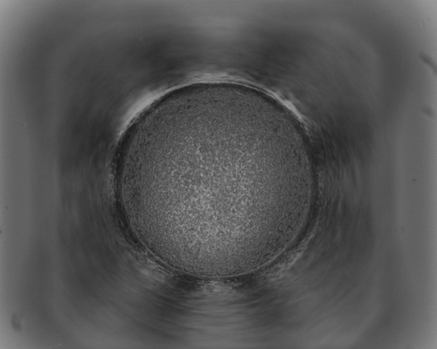 X0000091331311200708241151