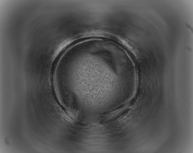 X0000091331312200708241151