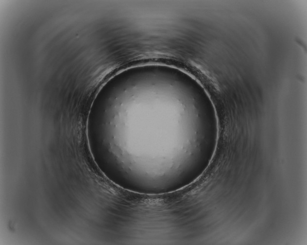 X0000091331313200708241151