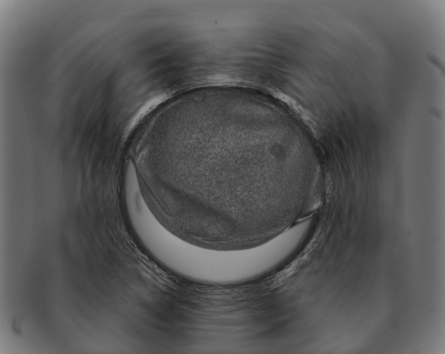 X0000091331314200708241151