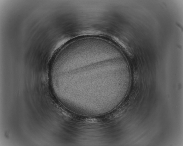 X0000091331315200708241151