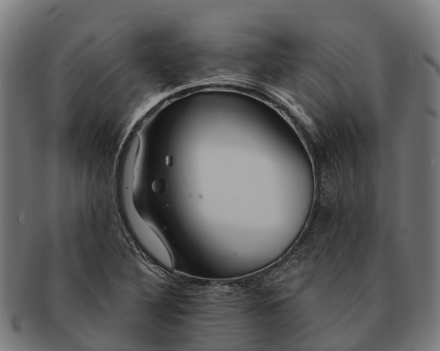 X0000091331316200708241151