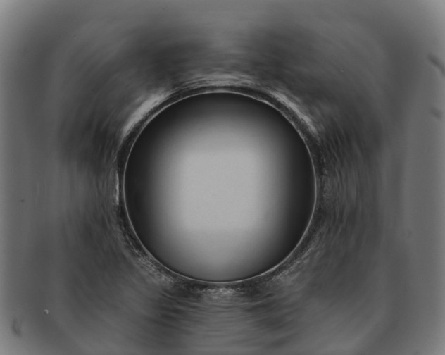 X0000091331317200708241151