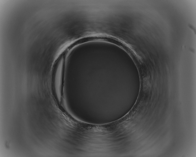 X0000091331319200708241151