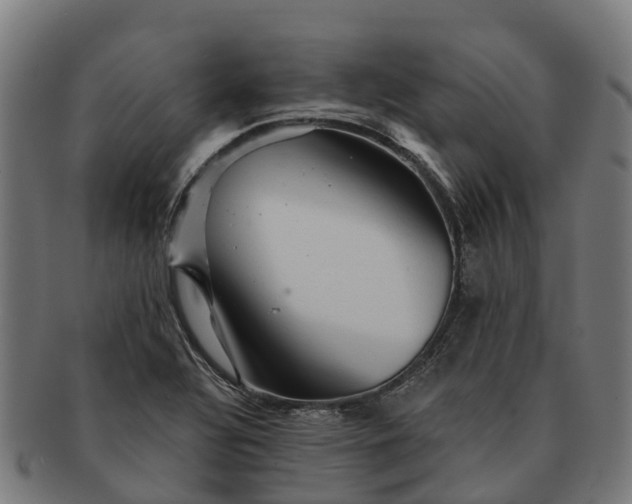 X0000091331320200708241151