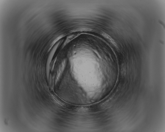 X0000091331321200708241151