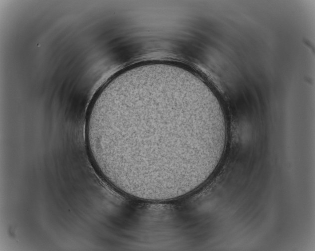 X0000091331322200708241151