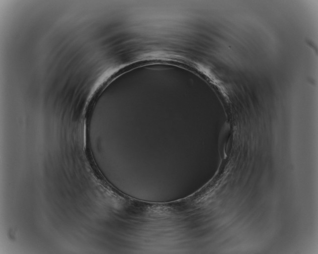 X0000091331323200708241151