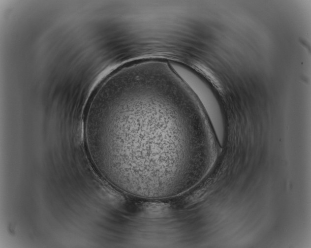 X0000091331324200708241151