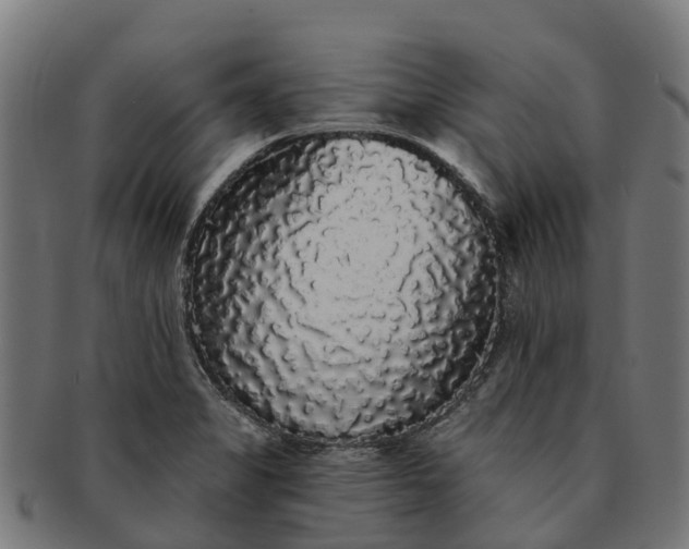 X0000091331325200708241151