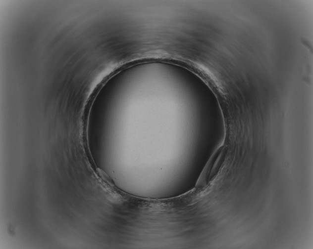 X0000091331326200708241151