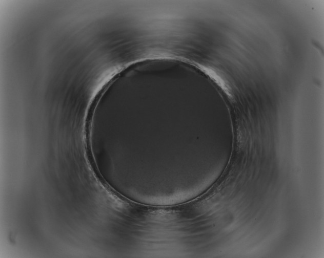 X0000091331327200708241151