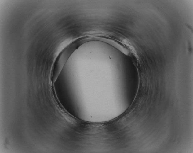 X0000091331328200708241151