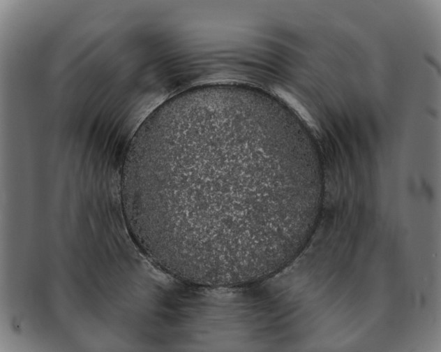 X0000091331329200708241151