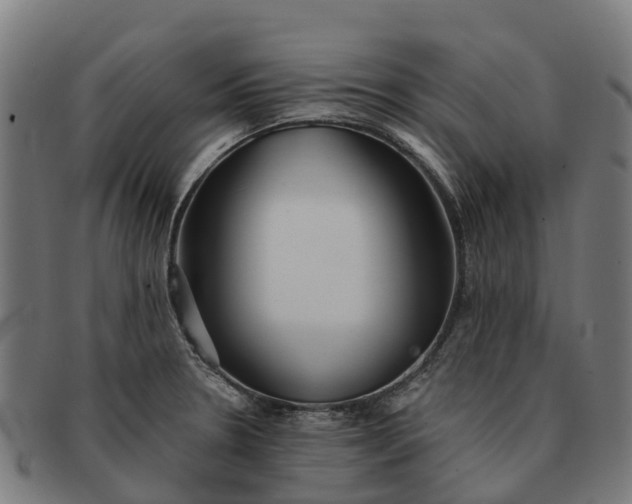 X0000091331330200708241151