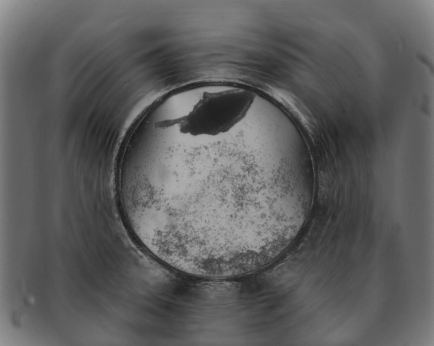 X0000091331331200708241151