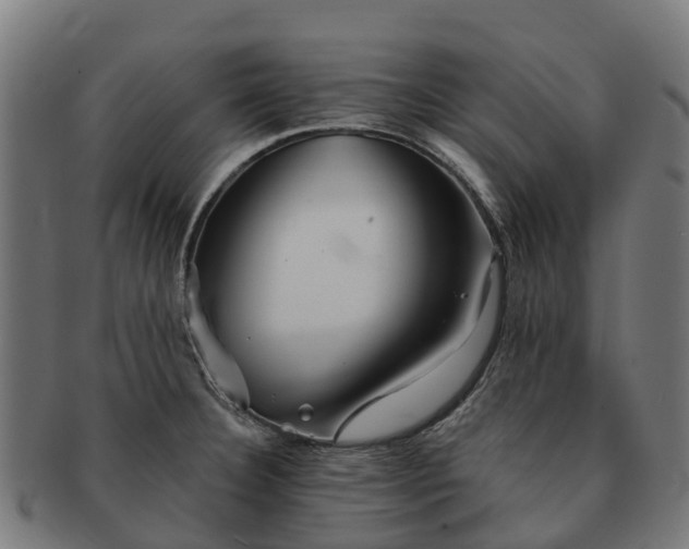 X0000091331332200708241151