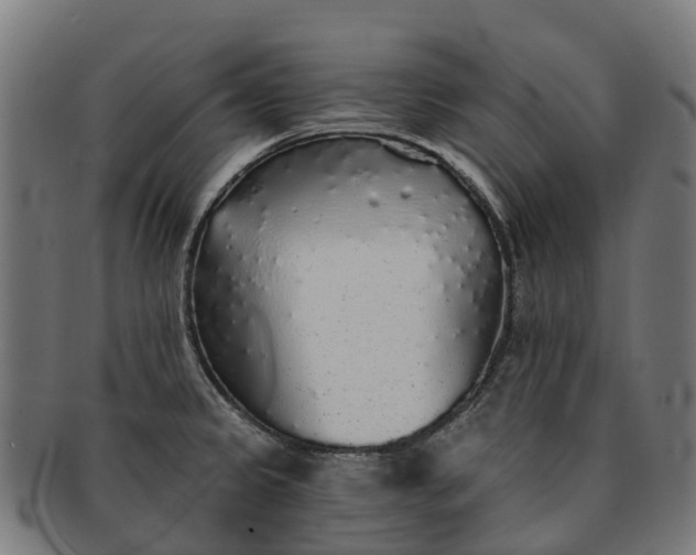 X0000091331333200708241151