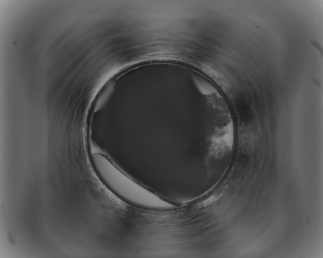 X0000091331334200708241151