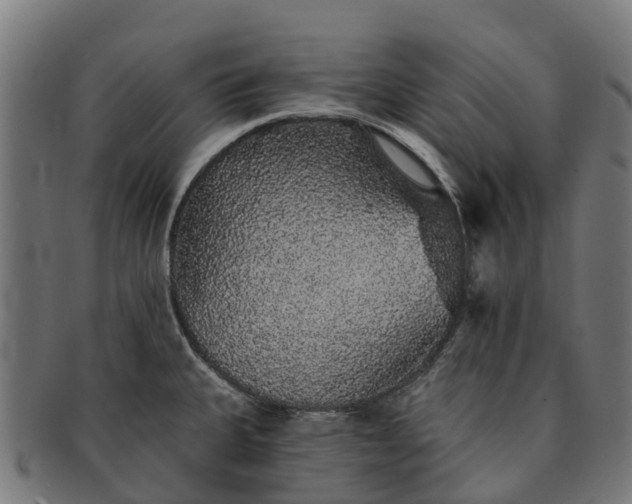 X0000091331335200708241151