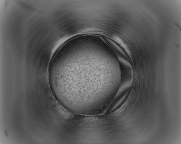 X0000091331336200708241151