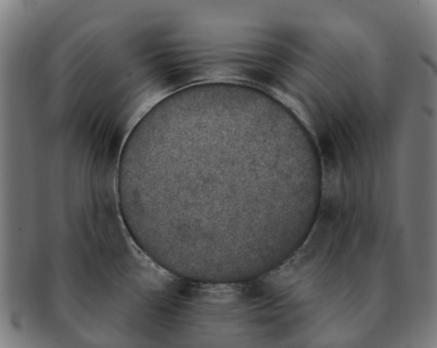 X0000091331338200708241151