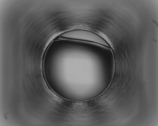 X0000091331339200708241151