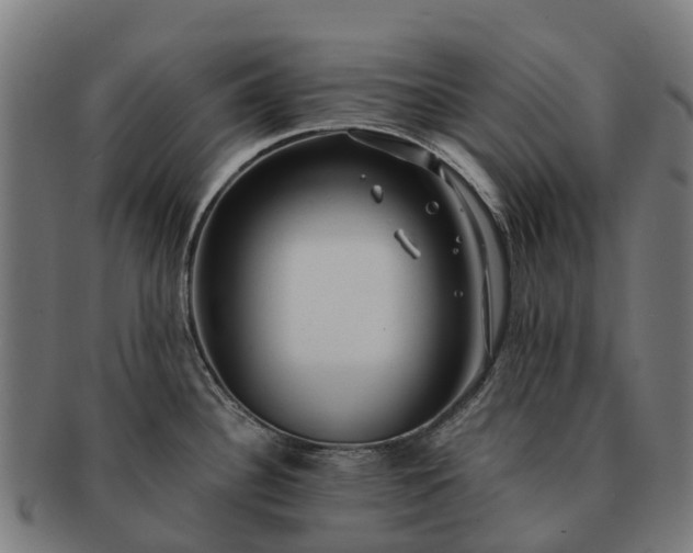 X0000091331340200708241151