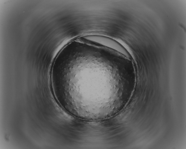 X0000091331341200708241151