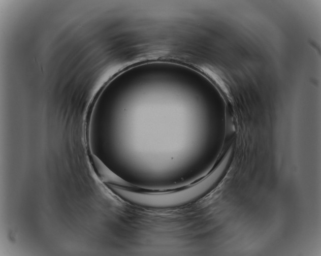 X0000091331342200708241151