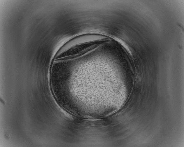 X0000091331343200708241151