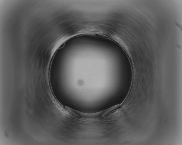 X0000091331344200708241151