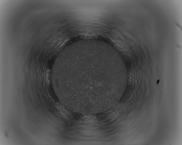 X0000091331346200708241151