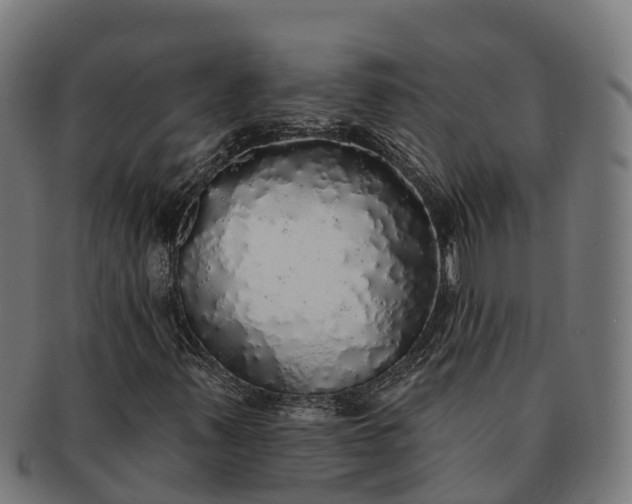 X0000091331347200708241151