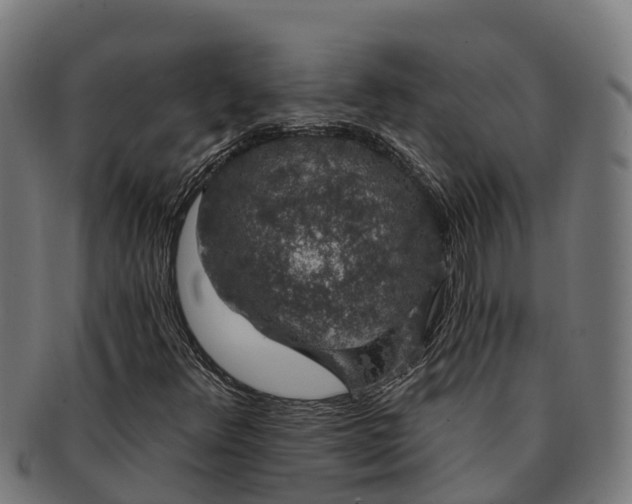 X0000091331348200708241151