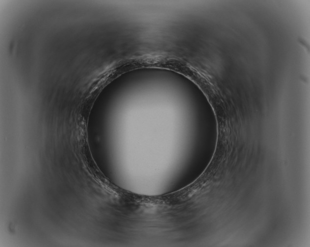 X0000091331349200708241151