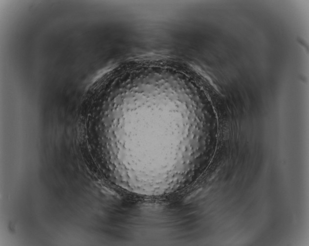 X0000091331350200708241151