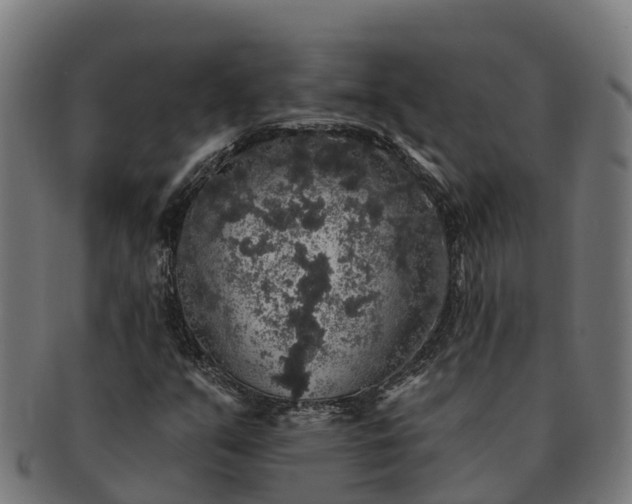 X0000091331351200708241151