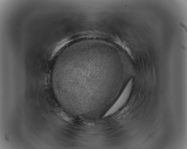 X0000091331352200708241151