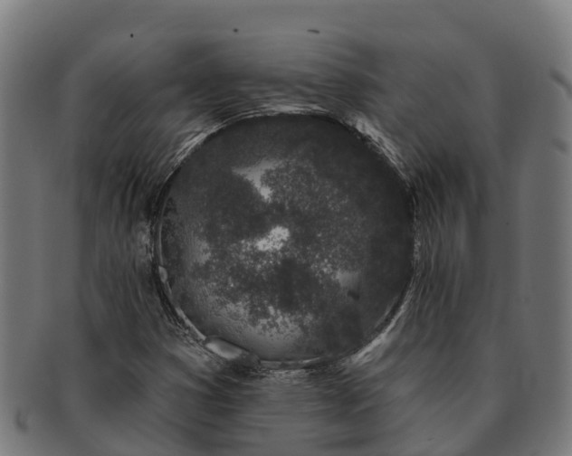 X0000091331353200708241151