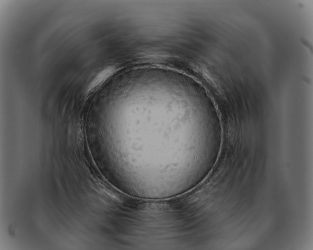 X0000091331354200708241151