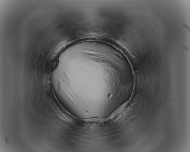 X0000091331355200708241151