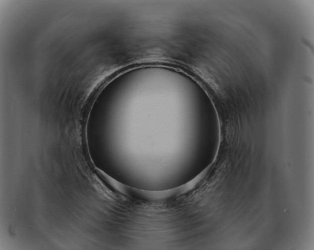 X0000091331356200708241151