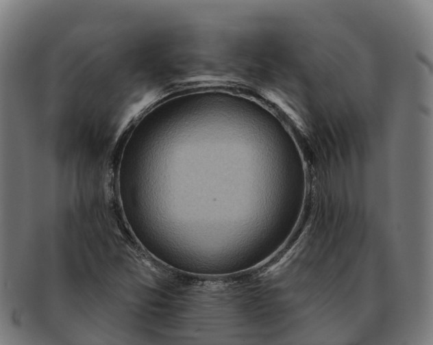 X0000091331357200708241151