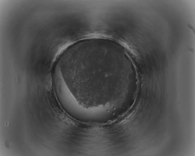 X0000091331358200708241151