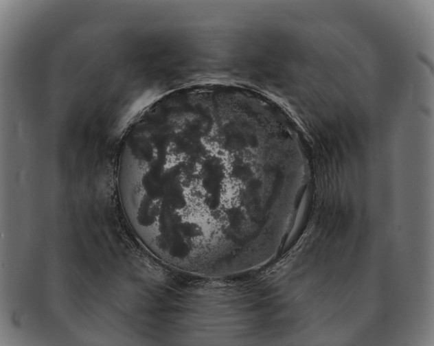 X0000091331359200708241151