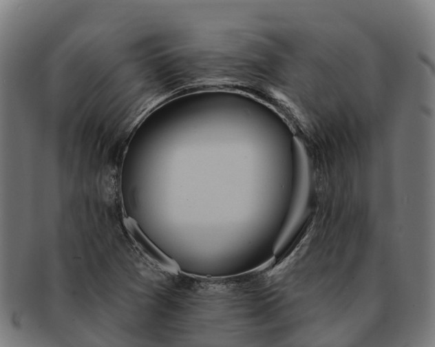 X0000091331361200708241151