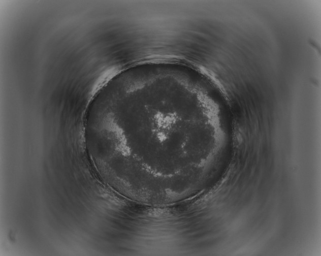 X0000091331362200708241151